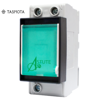 CBI Astute Isolator with Tasmota