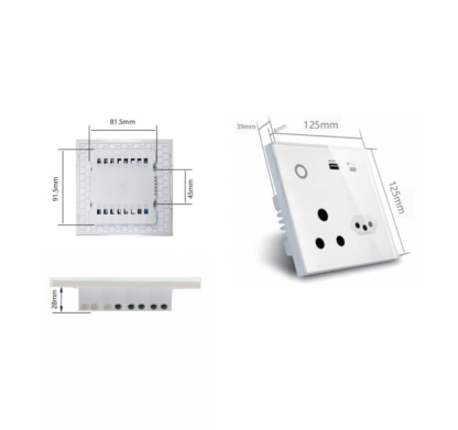 Zigbee Wall Plug Info