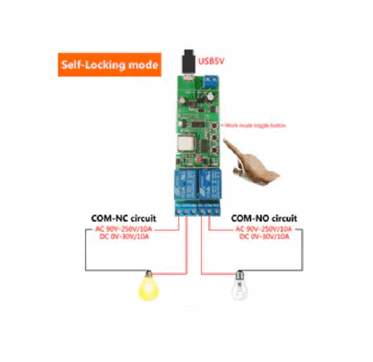 Wi-Fi Inching Relay Momentary-Self-Locking-Interlock Switch Module (ST-DC2)