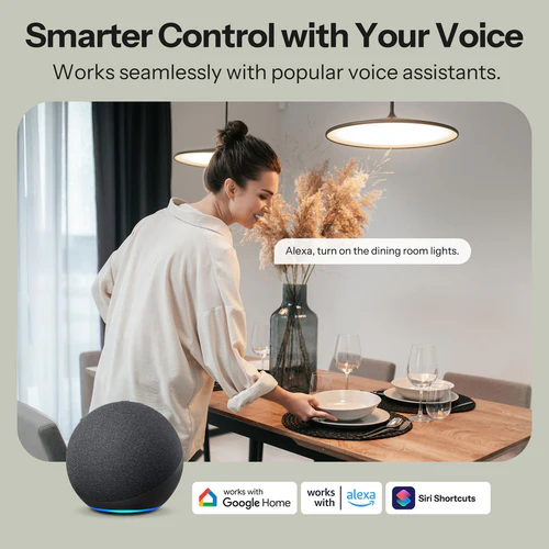SONOFF MINI DUO 2-Gang Matter WiFi Smart Switch MINI-2GS compact dual channel module